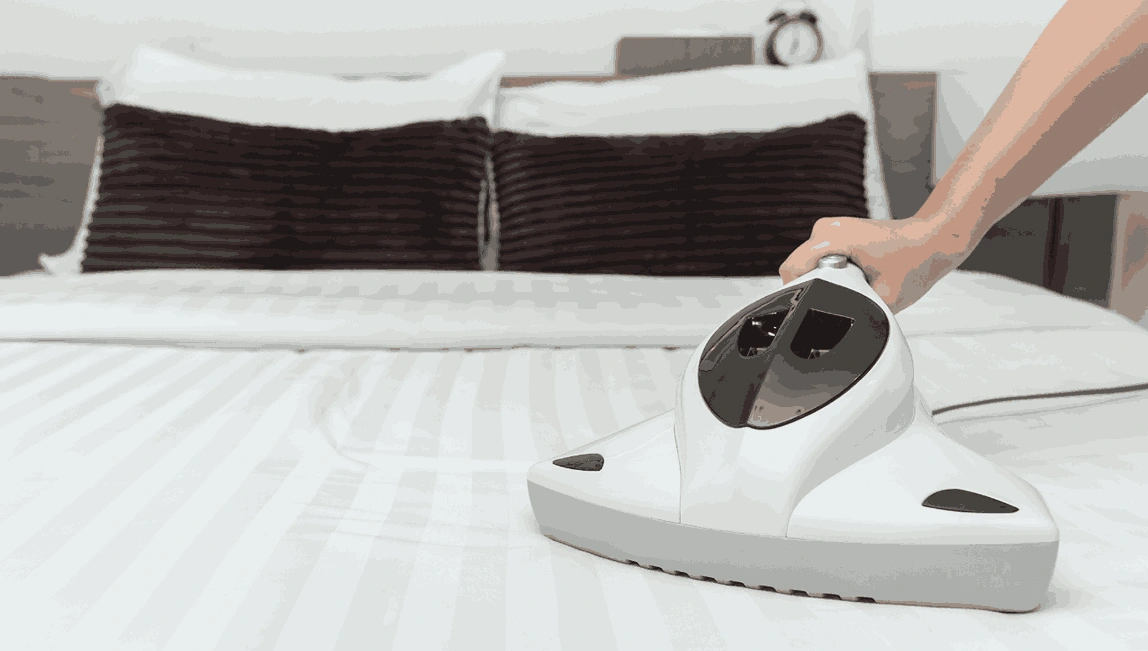 Professional Mattress Cleaning Cocoroc
